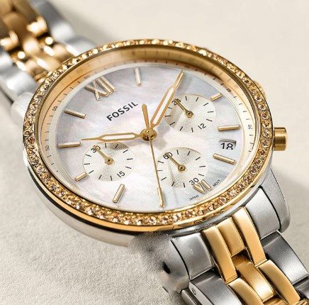 Armbanduhr Fossil Herr in Stahl ES5216 - ES5216